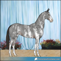 Horse Color:Liver Chestnut Sabino 