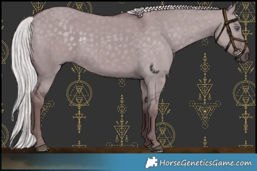 Horse Color:White Spotted Chocolate Silver Smoky Grullo Chinchilla 