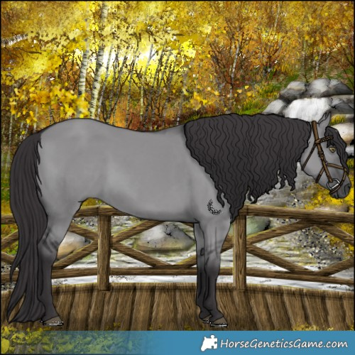 Horse Color:Smoky Grullo Chinchilla 