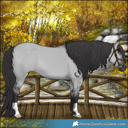 Horse Color:Smoky Grullo Chinchilla 