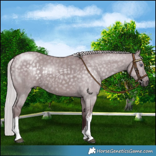Horse Color:White Spotted Chocolate Silver Smoky Grullo Chinchilla 