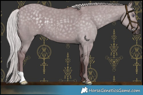 Horse Color:Chocolate Silver Smoky Grullo Chinchilla 