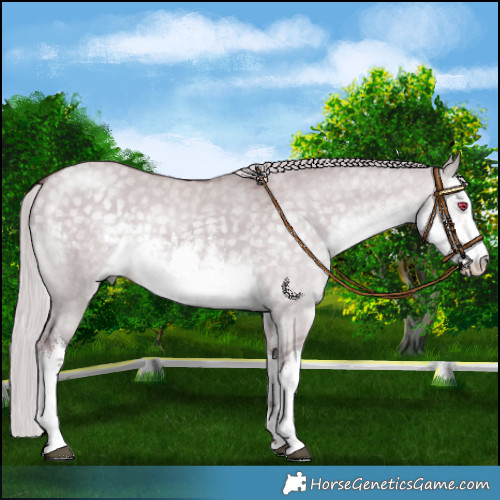 Horse Color:White Spotted Chocolate Silver Smoky Grullo Chinchilla 