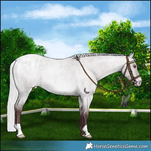 Horse Color:Chocolate Silver Bay Chinchilla Roan Dun Varnish 