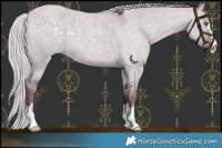 Horse Color:Chocolate Silver Smoky Grullo Chinchilla Roan