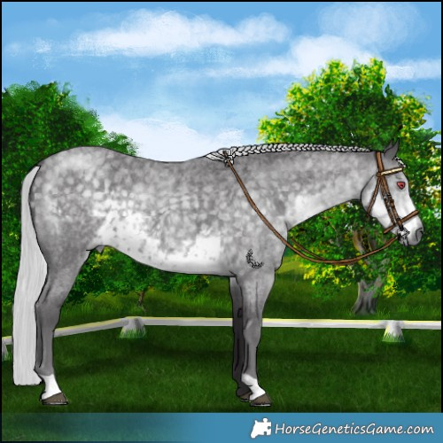 Horse Color:Silver Smoky Blue Chinchilla Roan