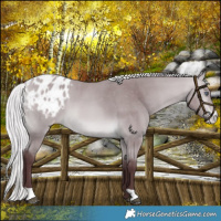 Horse Color:Chocolate Silver Bay Chinchilla Blanket 