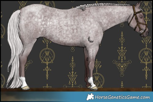 Horse Color:Chocolate Silver Blue Chinchilla Roan 