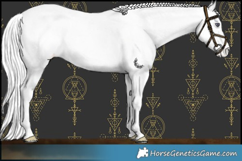 Horse Color:Chocolate Silver Perlino Chinchilla Blanket 