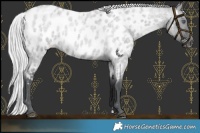 Horse Color:Silver Grullo Chinchilla Roan Near Leopard 