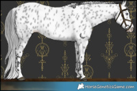 Horse Color:Bay Chinchilla Leopard 