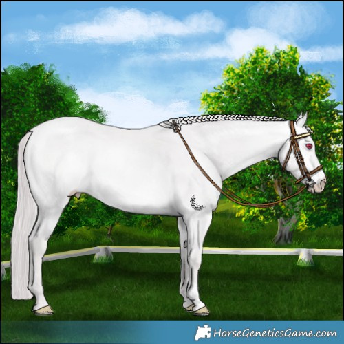 Horse Color:Chocolate Perlino Chinchilla 