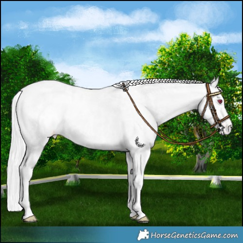 Horse Color:Chocolate Silver Smoky Creme Chinchilla Dun Blanket 