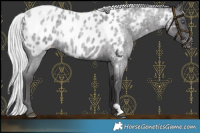 Horse Color:Silver Smoky Blue Chinchilla Roan Blanket 