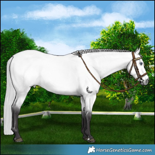 Horse Color:Silver Buckskin Chinchilla Roan 