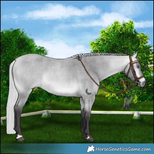 Horse Color:Silver Buckskin Chinchilla Roan 