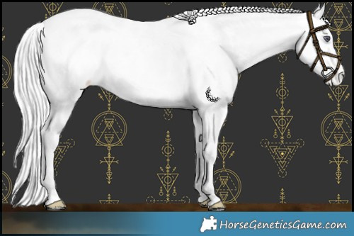 Horse Color:Buckskin Chinchilla Pearl Dun Near Leopard 