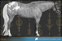 Horse Color:Silver Blue Chinchilla Roan Blanket