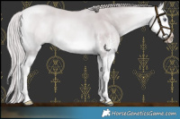 Horse Color:Chocolate Silver Buckskin Chinchilla Dun Sabino Splash 