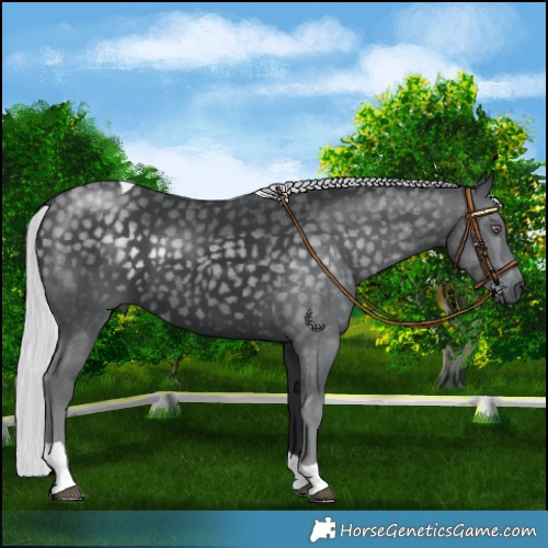 Horse Color:Silver Black Chinchilla Tobiano 