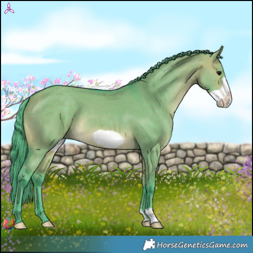Horse Color:Watercolor Brown Dun Merle Frame 