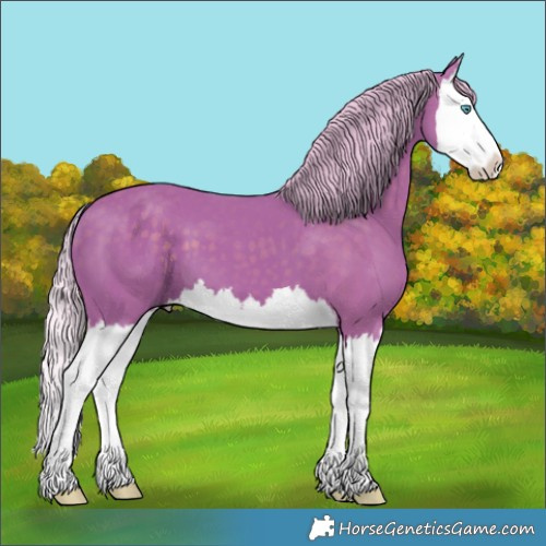 Horse Color:Watercolor Silver Black Splash 