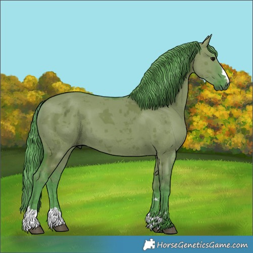 Horse Color:Watercolor Grullo Merle 