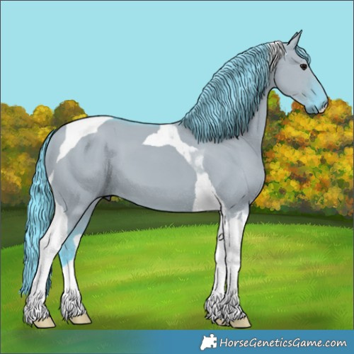 Horse Color:Watercolor Smoky Grullo Tobiano 