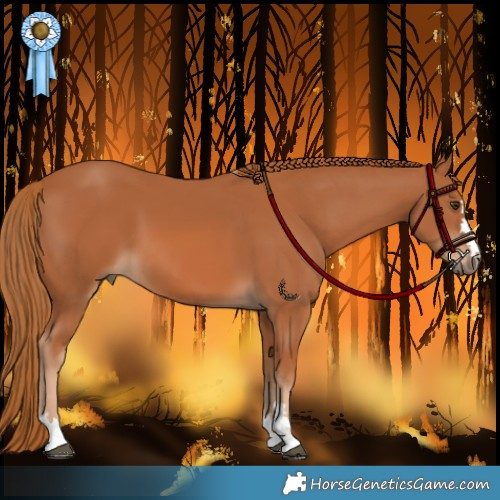 Horse Color:Chestnut 