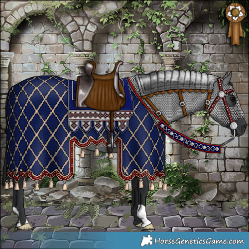 Horse Color:Blue Roan