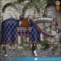 Horse Color:Blue Roan 