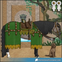 Horse Color:Grullo 