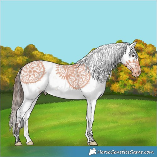 Horse Color:Bay Sabino Varnish 