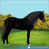 Horse Color:Void Platinum Bay Roan Splash Near Fewspot