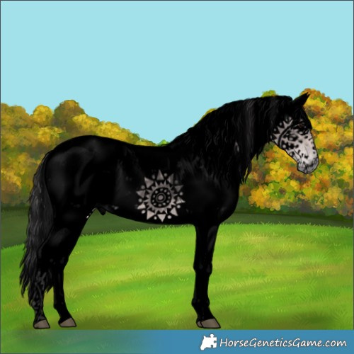 Horse Color:Void Platinum Buckskin Sabino 