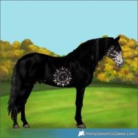 Horse Color:Void Platinum Buckskin Sabino