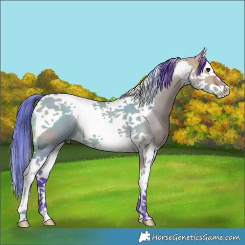Horse Color:Watercolor Bay Dun Splash Tobiano 