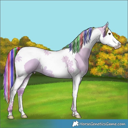 Horse Color:Painted Watercolor Red Dun Splash Tobiano 