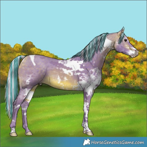 Horse Color:Painted Watercolor White Spotted Silver Buckskin Tobiano 