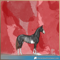 Horse Color:Liver Chestnut Rabicano