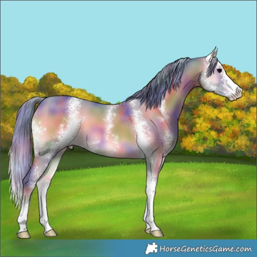 Horse Color:Nacre Watercolor Blue Onyx Sabino 