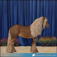 Horse Color:Chocolate Palomino 