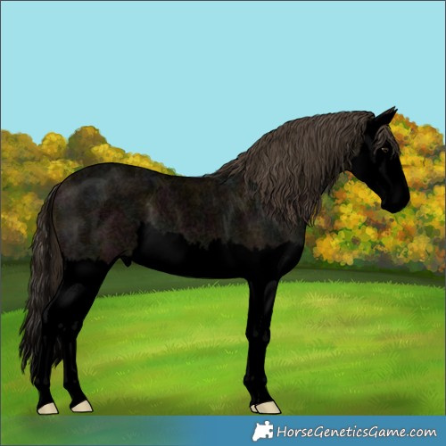 Horse Color:Void Midnight Buckskin Ice Roan Splash 