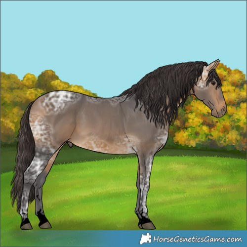 Horse Color:Void Buckskin Ice 
