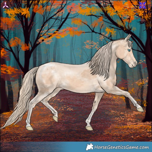 Horse Color:Perlino Merle 
