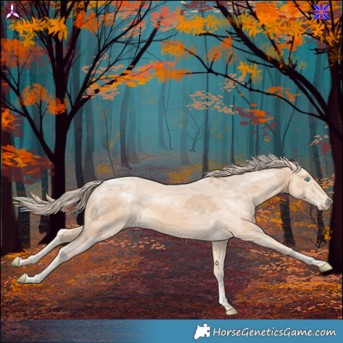 Horse Color:Perlino Merle 