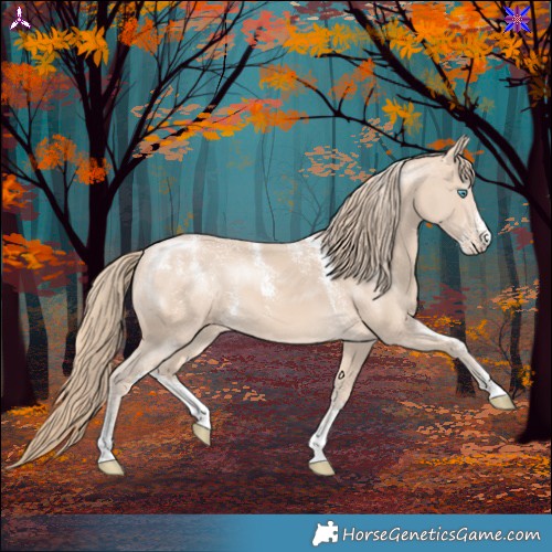 Horse Color:Powder White Perlino 