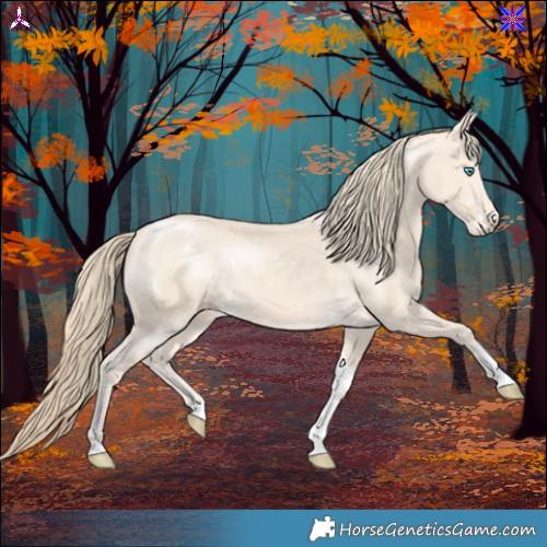 Horse Color:Perlino Tobiano 