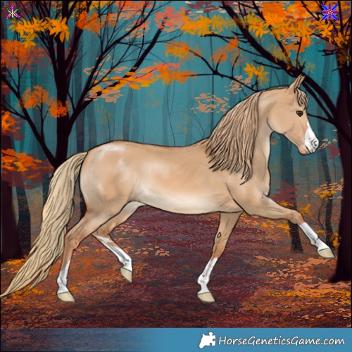 Horse Color:Red Dun 