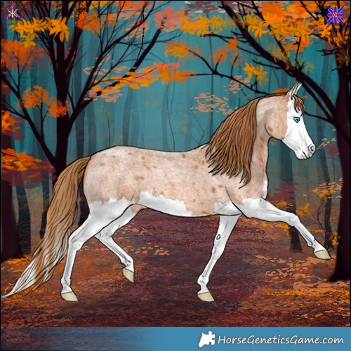 Horse Color:Red Roan Splash 